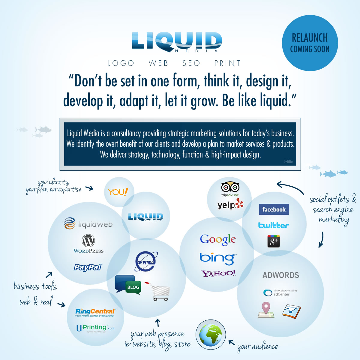 Maui Web Design by Liquid Media